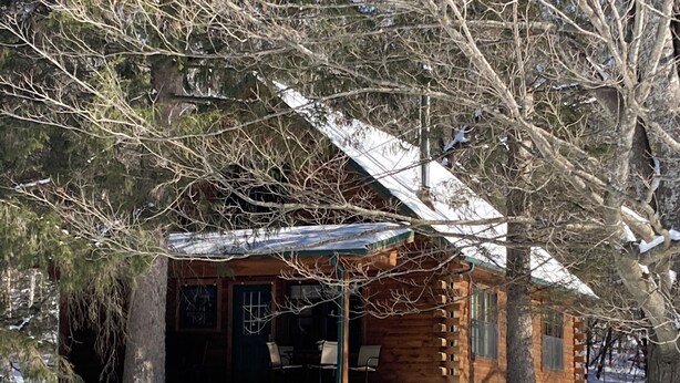 A log cabin with a snow-covered roof, surrounded by trees. - Timber Haven - Serene getaway-Fireplace, air conditioning, fire pit, grill, WiFi (Cohocton)