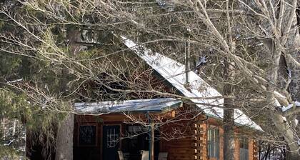 Timber Haven - Serene year-round log home getaway with gas fireplace, HVAC, WiFi