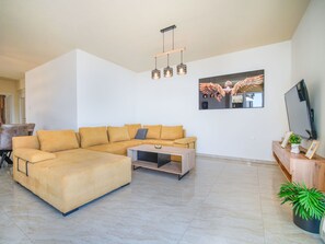 Televisor 