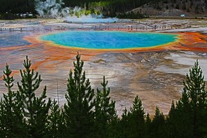 A geothermal hot spring with a turquoise center surrounded by orange and brown mineral deposits. - Cozy 2-bedroom condo with WiFi, fitness room and pool close to the park entrance (West Yellowstone)