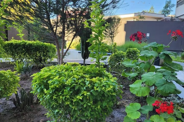 Áreas de la propiedad