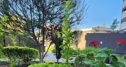 A space in Sivar