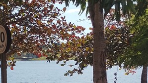 A park with a lake, a white bird, and trees with autumn leaves. - Kitchenette flat at the Broa dam with incredible views (Balneário Santo Antônio Itirapina)