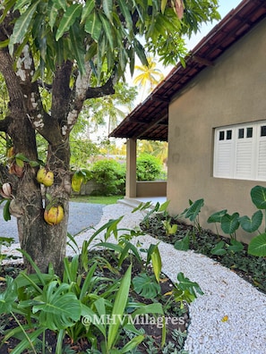 Basic Villa | Property grounds