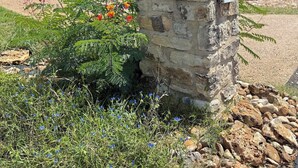 A stone mailbox with a red flag, surrounded by flowering plants and a stone wall. - The House of Proverbs-All about our Heavenly Father, Family and Good Fellowship! (Round Rock)