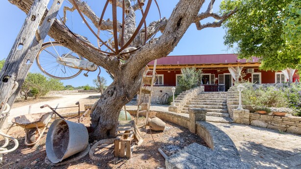 Un edificio rústico con techo rojo, escalones de piedra y un gran árbol en primer plano.