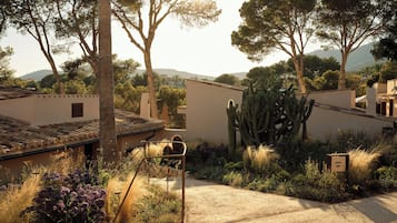 A courtyard with a cactus, a metal gate, and a building with a tiled roof.