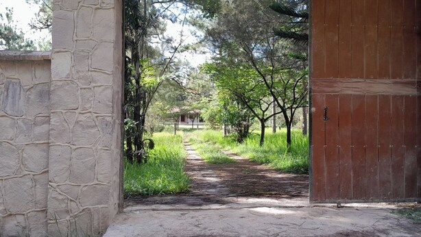 Un sendero de piedra que conduce a una puerta de madera, rodeado de follaje y árboles.