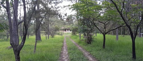 Áreas de la propiedad