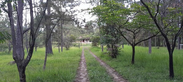 Área da propriedade