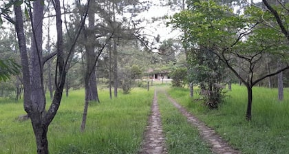 Nature Escape + Weekend Deals for Valle de Ángeles