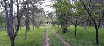 Nature Escape + Weekend Deals for Valle de Ăngeles