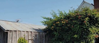 The Wild Rose - Cozy PEC Rental in Picton