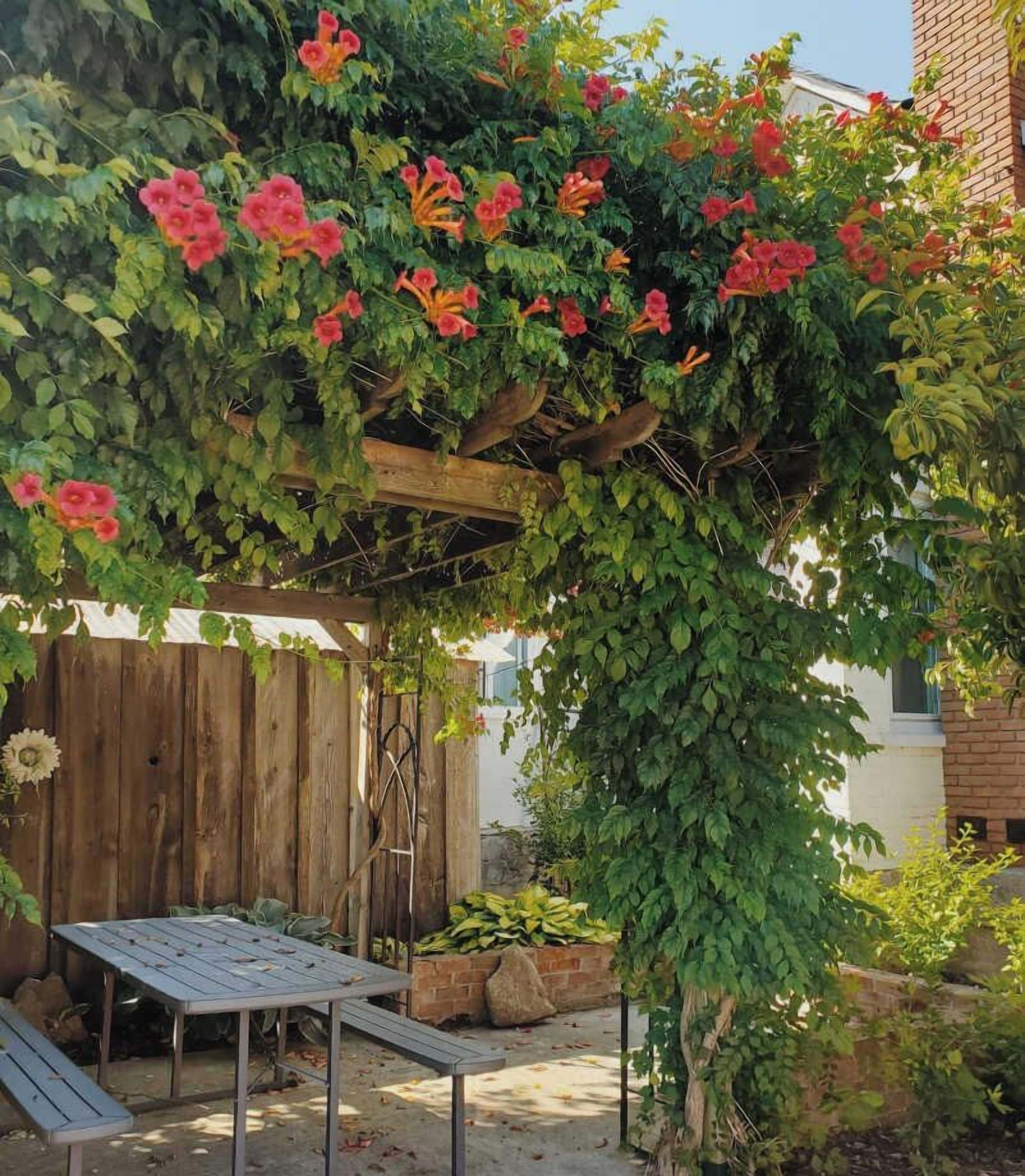 Een houten pergola met klimplanten en bloemen, een houten tafel en een bakstenen muur op de achtergrond.
