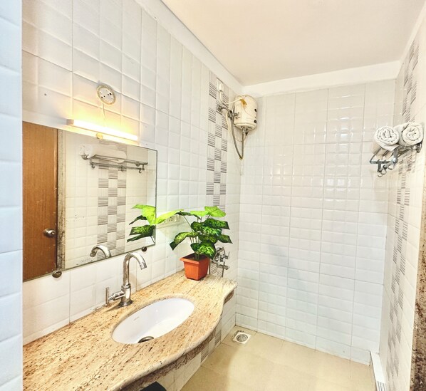A bathroom with a sink, mirror, potted plant, and shower area. - HOTEL EL PASO (Arambol)