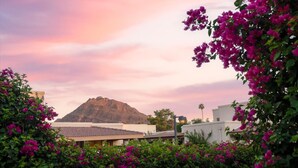 Una montaña, edificios y flores rosadas.