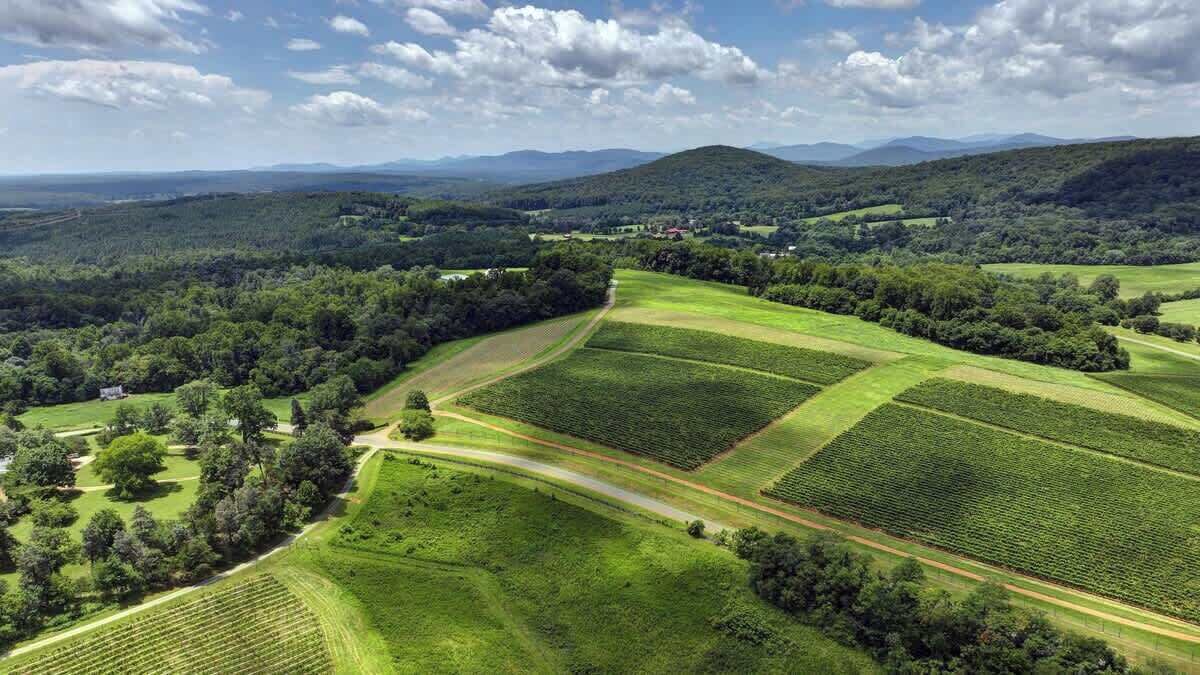 Un paysage rural avec des champs, une route et des collines à l’horizon.