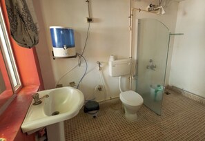 Combined shower/bathtub, towels, soap, shampoo