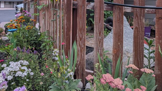 A building with a wooden fence, a garden with various flowers, and a neon sign indicating vacancy.