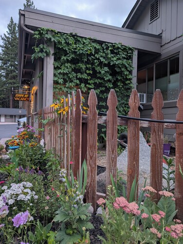 Cozy cute clean rustic charm  studio with wifi in South Lake Tahoe