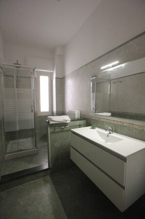 Shower, hair dryer, bidet, towels