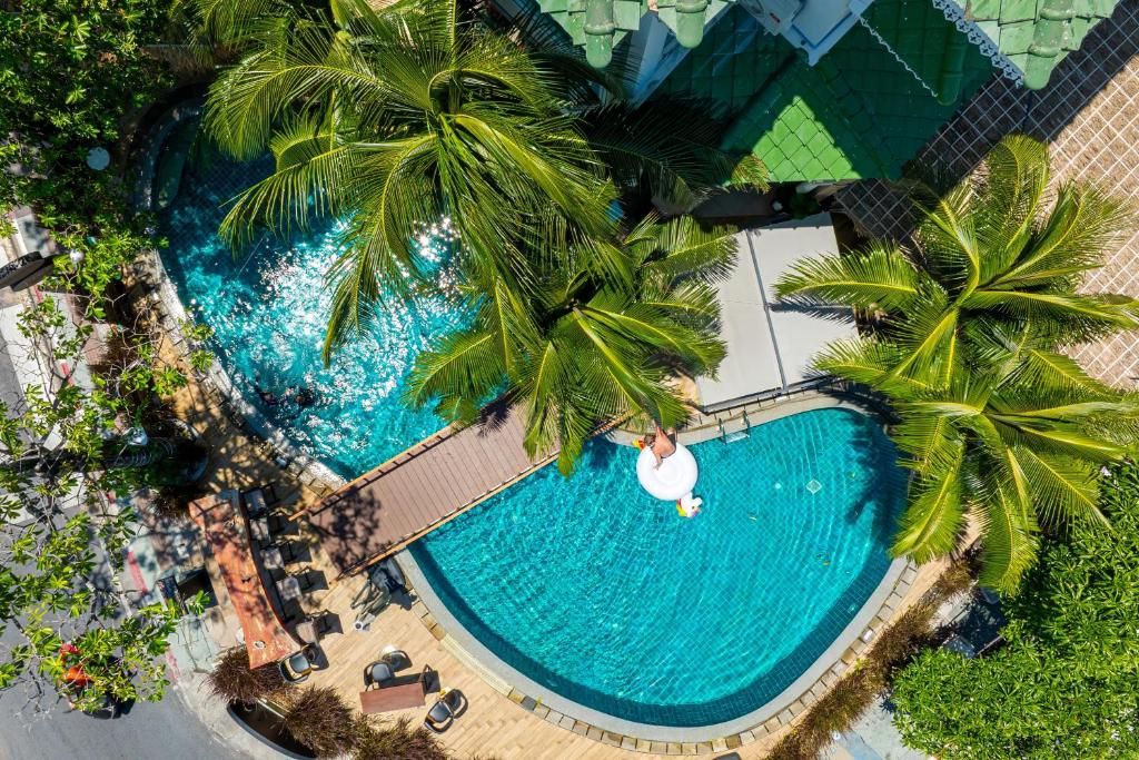 Vue aérienne d’une piscine circulaire entourée de palmiers et de chaises longues.