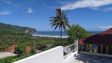 Beach/ocean view