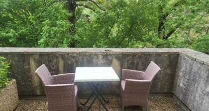 AUBERGE DU TARNON in the heart of the Cevennes mountains with your feet in the water animals welcome