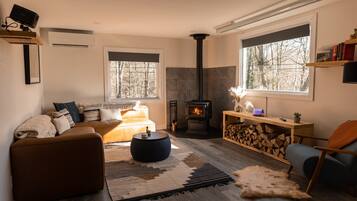 Smart TV, fireplace, books