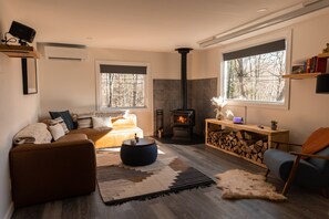 Smart TV, fireplace, books