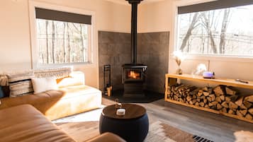 Smart TV, fireplace, books