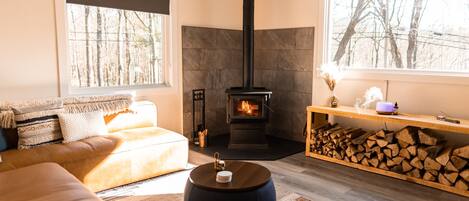 Televisor intel·ligent, llar de foc i llibres