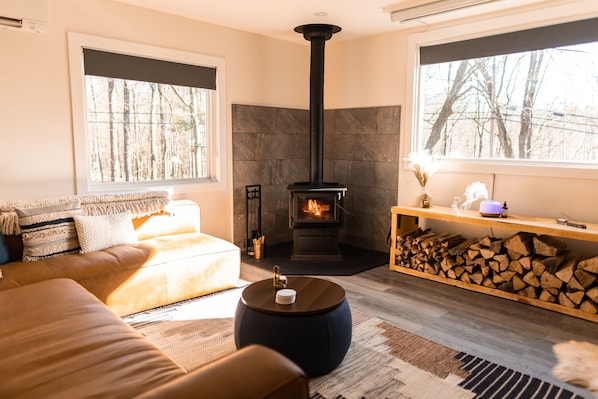 Smart TV, fireplace, books