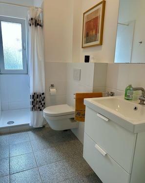 Shower, hair dryer