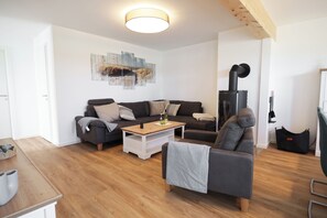 TV, fireplace, books