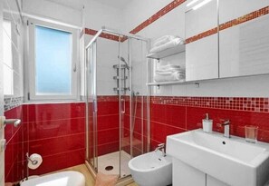 Shower, hair dryer, bidet, towels