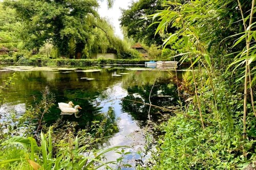Cabin in New Forest with Private Woodland
