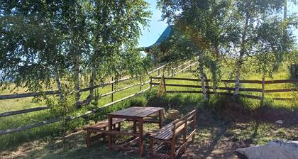 Cozy Chalet in Charming Žabljak • Wi-Fi • Large Terrace • Free Parking