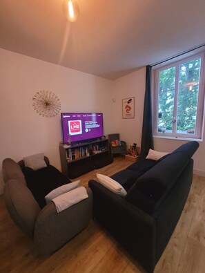 Smart TV, books, video library