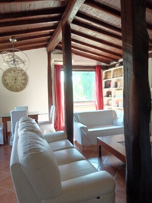 TV, fireplace, books
