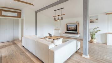 Fernseher, DVD-Player, Musikbibliothek, Stereoanlage