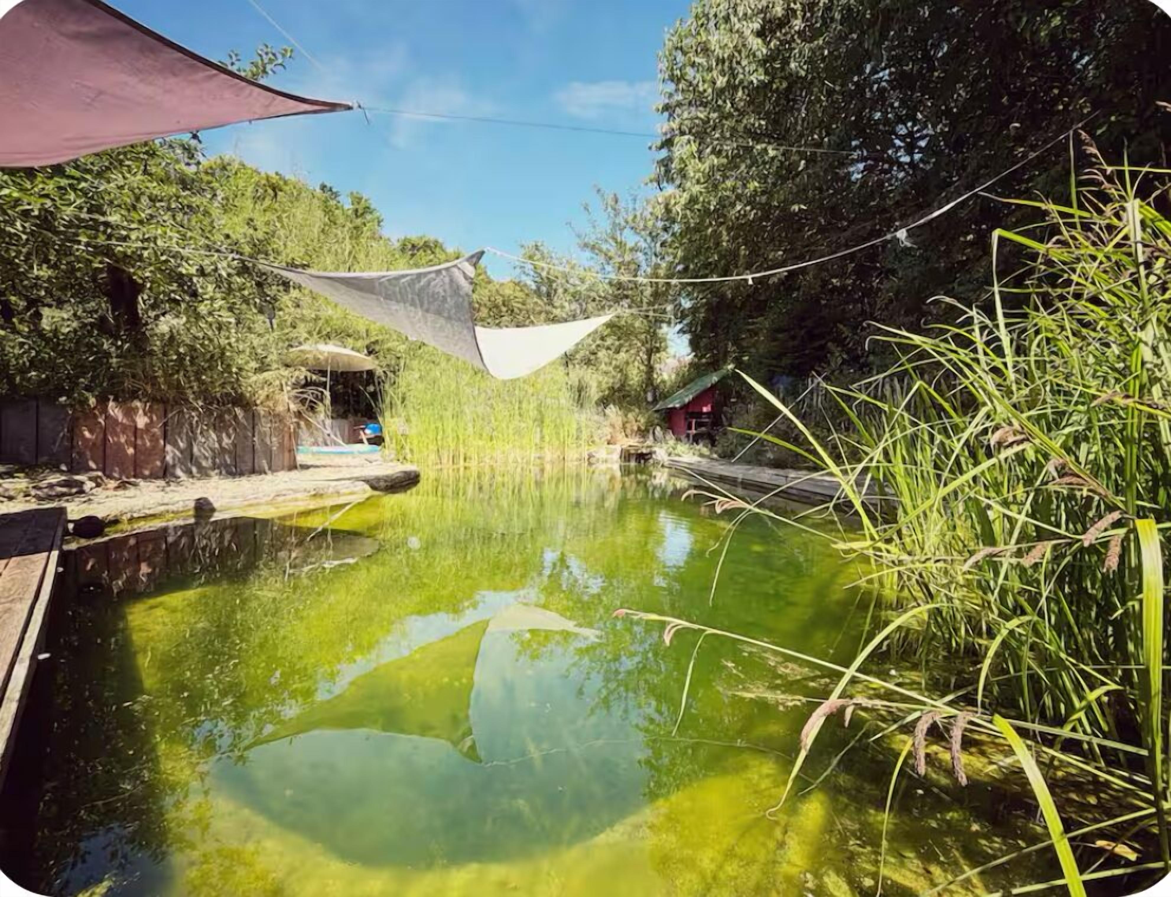 A tranquil outdoor setting with a small pond, surrounded by lush greenery and a wooden deck.