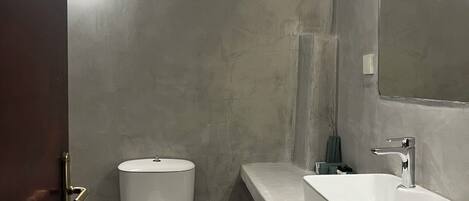 A modern bathroom with a toilet, sink, and mirror.