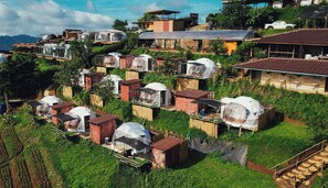 Standaard tent, huisdieren toegestaan, uitzicht op heuvels | Gratis wifi, beddengoed