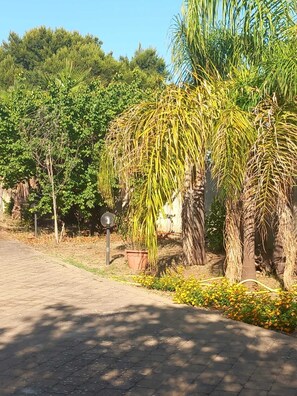 Property grounds