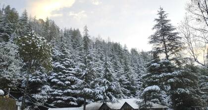 Himgiri Nature Retreat