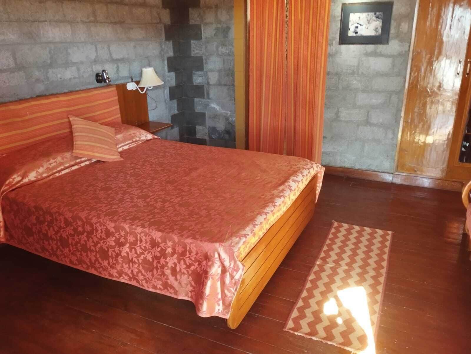 Un dormitorio con cama, mesita de noche, lámpara, un cuadro en la pared y una alfombra estampada.