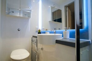 Estudi prèmium, no fumadors | Bany