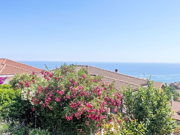 Una zona residencial costera con casas de tejados de terracota, exuberante vegetación y una vista despejada del mar.
