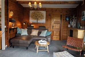 TV, fireplace, table football, books